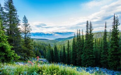 Summertime Road Trips, Idaho Style