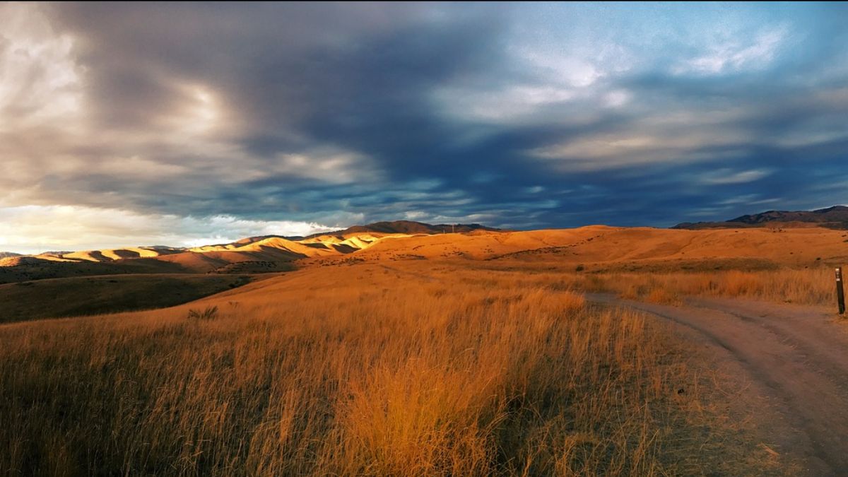 Boise foothills